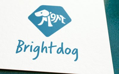 Brand identity for Sussex based dog trainer