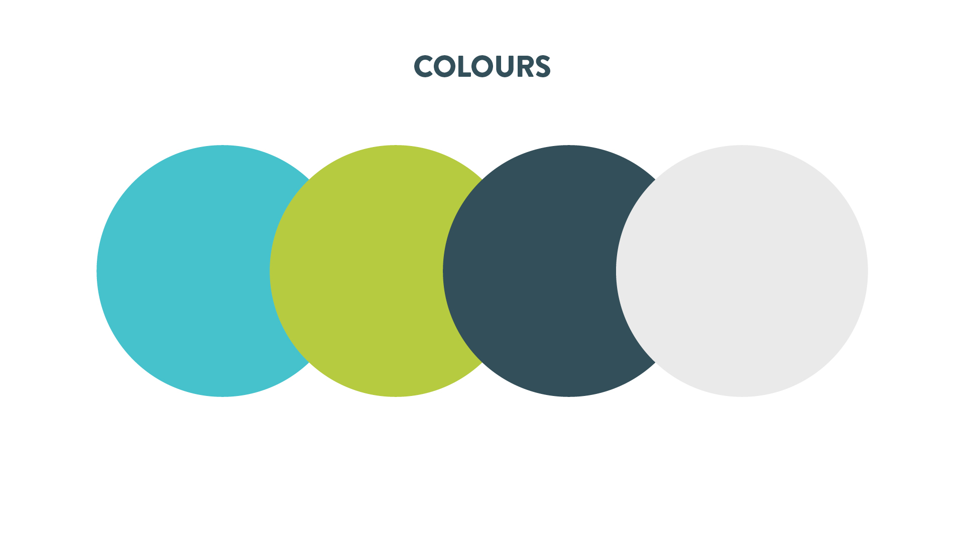 McQ-design-brighton-freelance-graphic-designer-best-logo-design-2020-AM-Design-and-Build-6