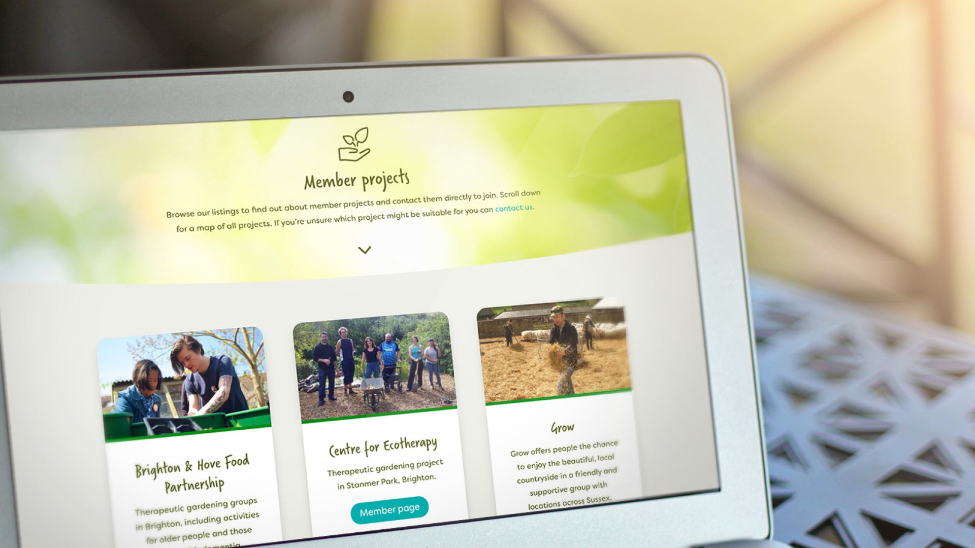 McQ-design-freelance-website-designer-brighton-best-website-designs-2021-Green-Wellbeing-Alliance-2