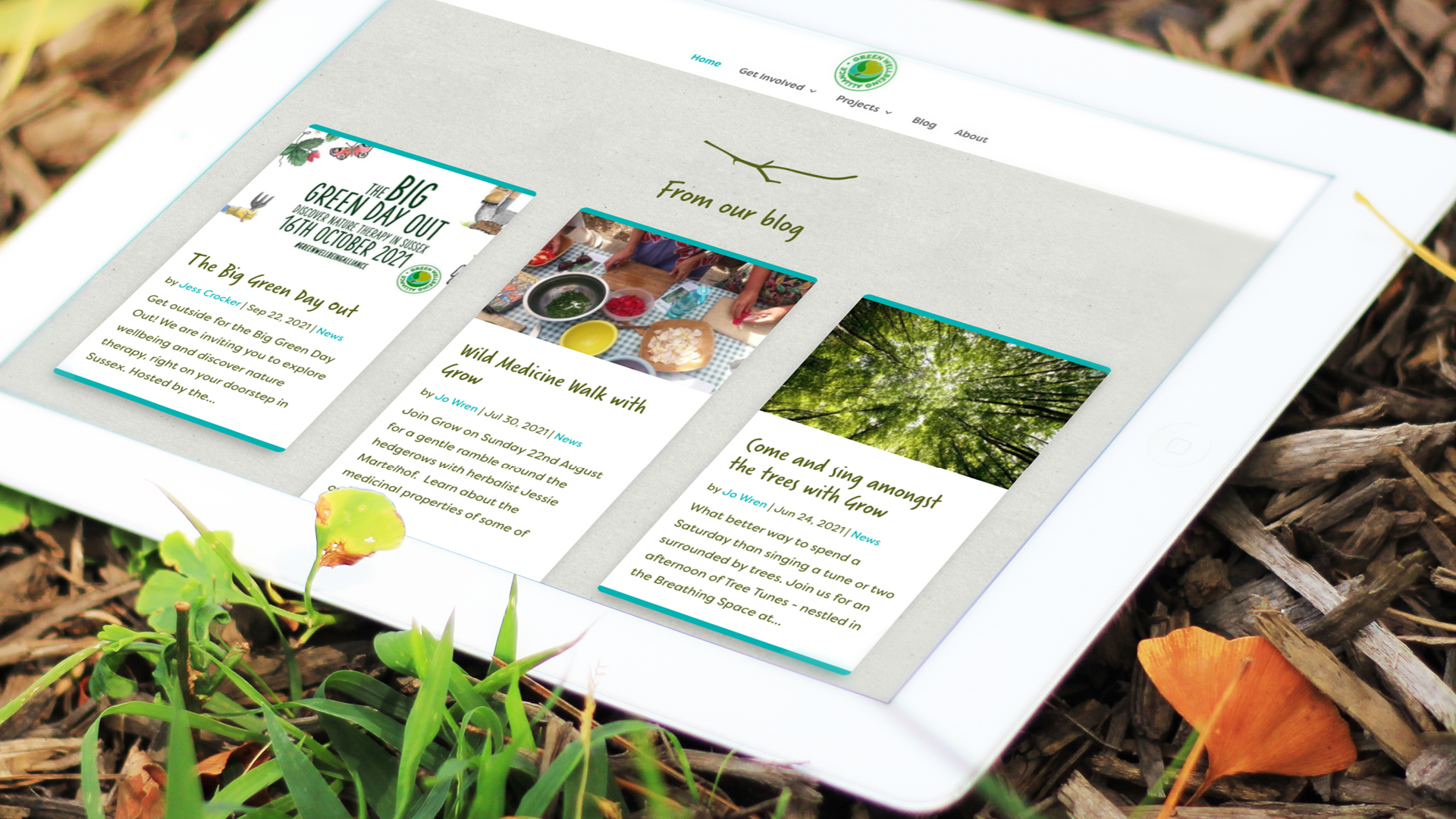 McQ-design-freelance-website-designer-brighton-best-website-designs-2021-Green-Wellbeing-Alliance-7