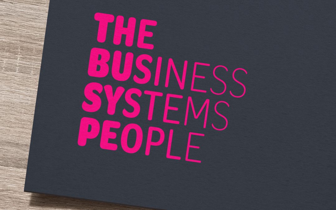 Brand identity for business systems specialist