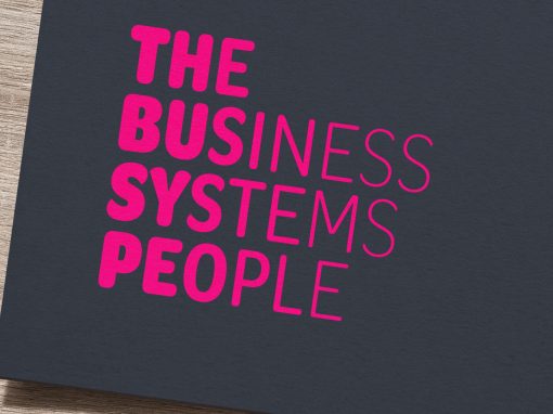 Brand identity for business systems specialist