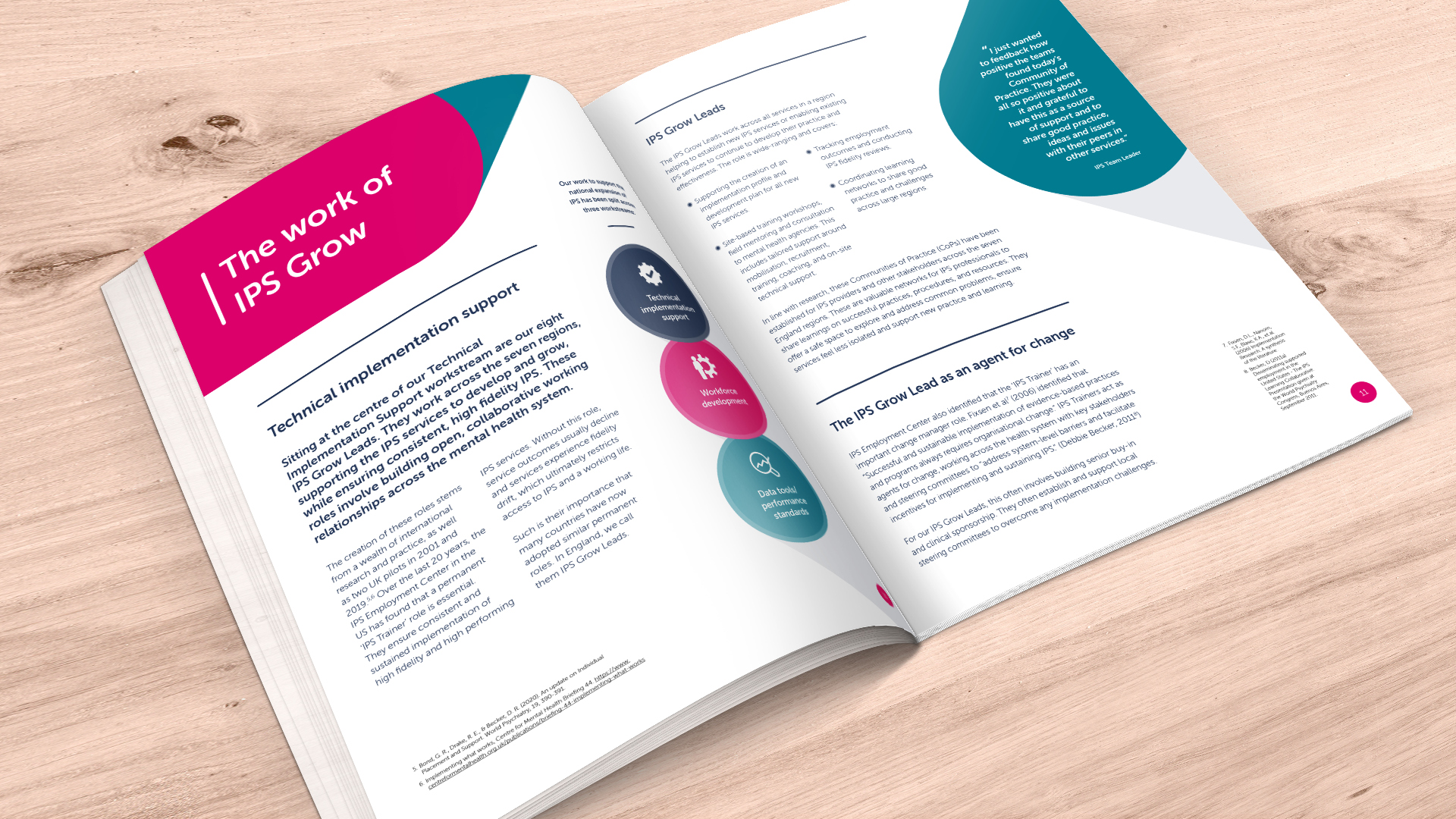 McQ-design-freelance-graphic-designer-brighton-best-brochure-designs-2023-IPS-Grow-Social-Finance-6